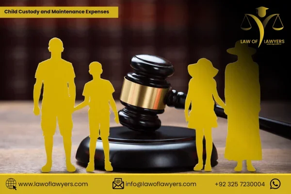 Child Custody Law in Pakistan and Maintenance Services